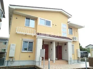 マンダリーヌの画像