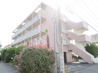 プラザイワモトの画像