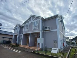 クリサンセマムの画像