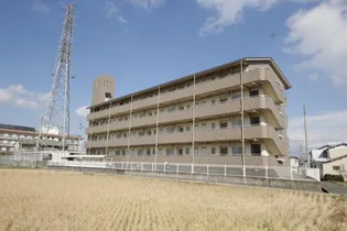 リバティ21の画像