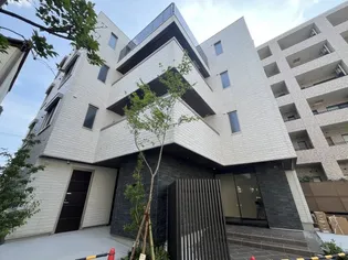 アストロフィラの画像