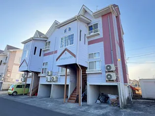 DANロマンイサワの画像