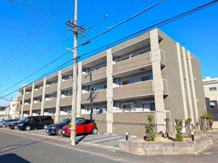 アニマートの画像