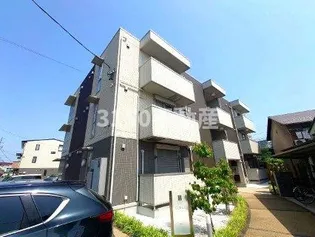 コーラルの画像