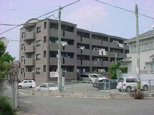 レークキャッスル舞の画像