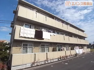 ロイヤルオークの画像