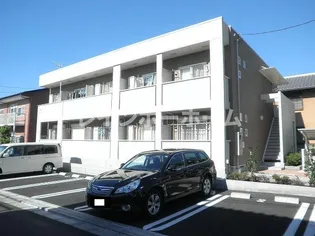 プリムローズの画像