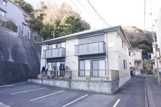 コートカトレアの画像