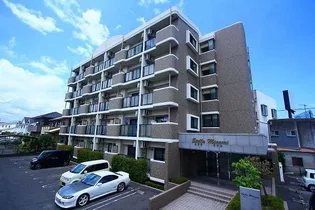 Stella Minami【4階】の外観