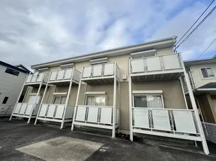 SURPLUS ONE 稲垣の画像