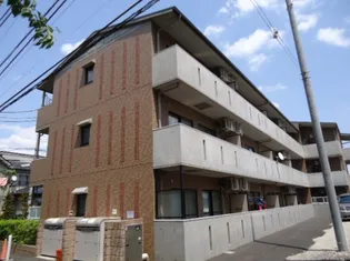 ZELKOVA GARDEN-ゼルコヴァガーデン-【3階】の外観