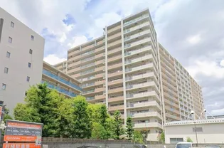 アッド パー プレイスの画像