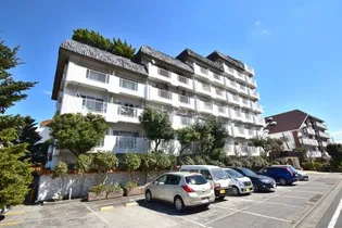 ヴィラウエルスの画像