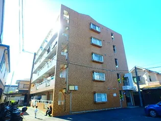 シャングリラコスモの画像