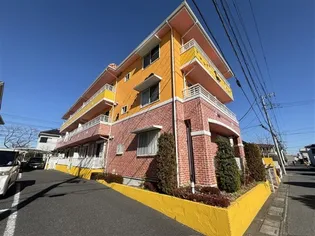 ミニョン シュシュの画像