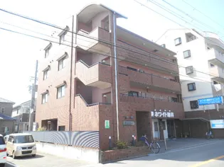 プリムローズの画像