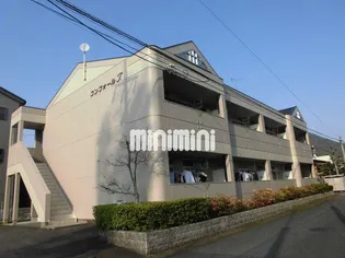 コンフォールTの画像