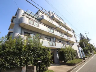 ロイヤルステージの画像