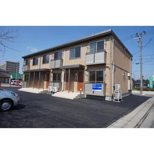 モーニンググローリーの画像