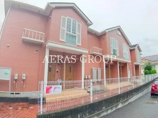 プリムローズの画像