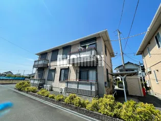 マナティーの画像