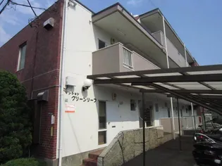 グリーンリーフの画像