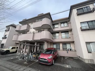 スピティ葛梅の画像
