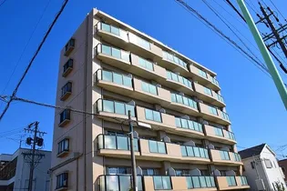 ドミール本城の画像