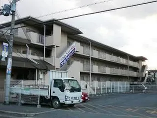 パレエレガンス【3階】の外観