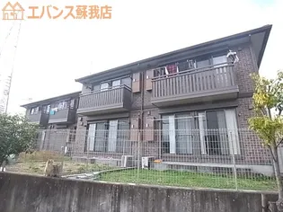 カンパーニュCの画像