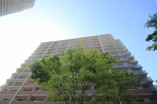 大阪府大阪市天王寺区筆ケ崎町【マンション】の外観