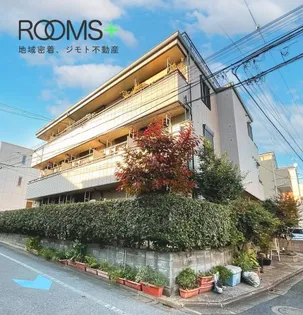 グレースパピヨンの画像