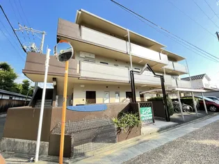 モンピエスTの画像