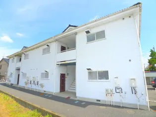 エクセル渡辺の画像