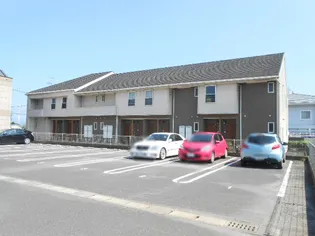 エテルノ サピーYNの画像