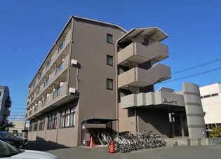 ベルサーヤの画像