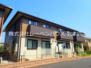 ピルム フローレスの画像