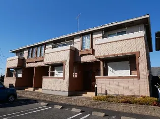 アンジュラの画像