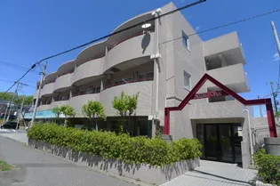 ニューオークの画像