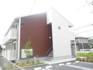 メープルの画像