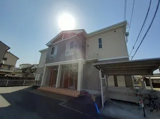 マンダリーナT 2 Cの画像