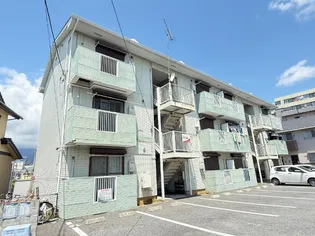 カモミールの画像