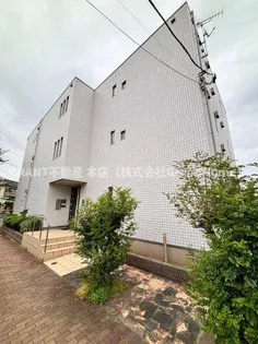 ラシーネ扇サクラの画像