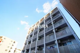 NASIC中山の画像