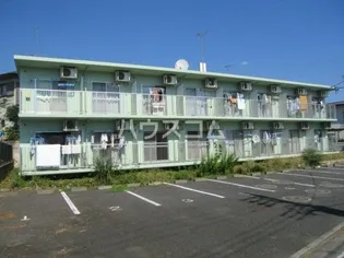 ルミニコスモスの画像