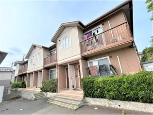 オーキッドの画像