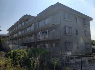 D Y 東戸塚の画像