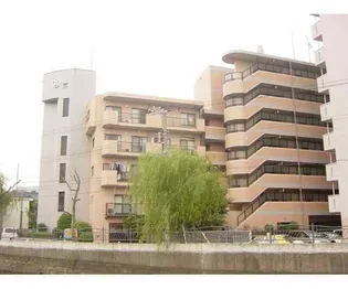 チェリーコート岡野【6階】の外観