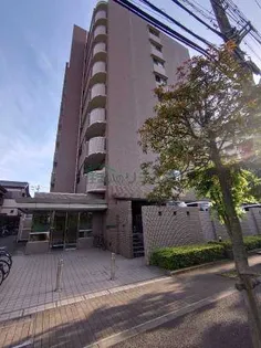 サンスカイの画像