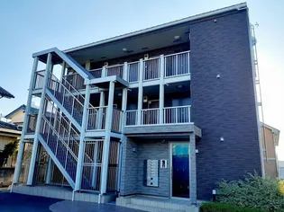 プラムシャインの画像